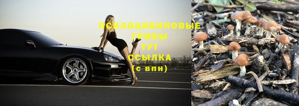 альфа пвп Богданович