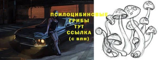 дмт Бронницы