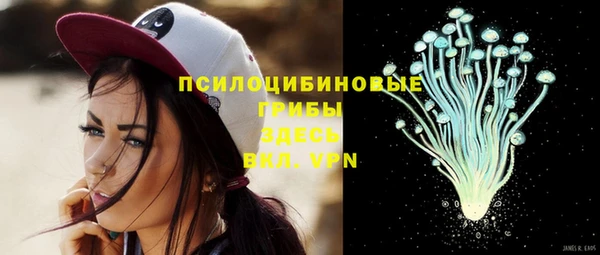 первитин Бородино
