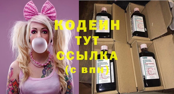 шишки Бердск