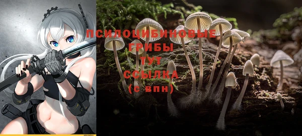 дмт Бронницы