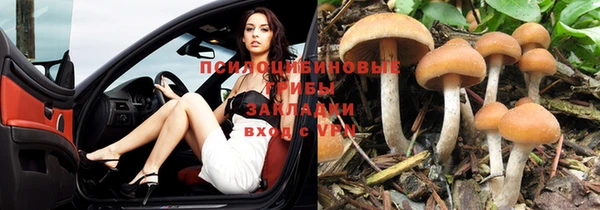 дмт Бронницы