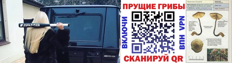 Галлюциногенные грибы ЛСД  Верея 